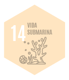 14-vida-submarina